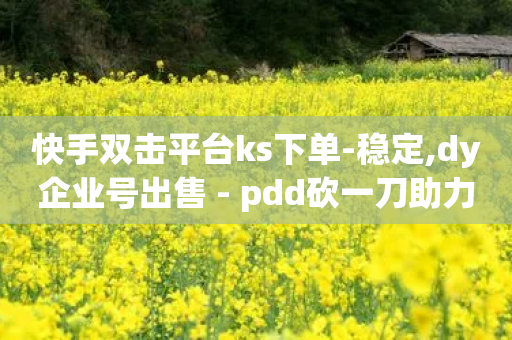 快手双击平台ks下单-稳定,dy企业号出售 - pdd砍一刀助力助力平台官网 - 拼多多可以买到吗