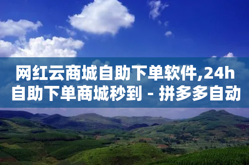 网红云商城自助下单软件,24h自助下单商城秒到 - 拼多多自动下单软件下载 - 旺店通-第1张图片-靖非智能科技传媒