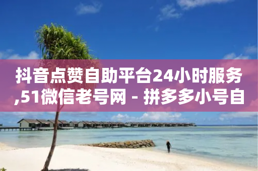 抖音点赞自助平台24小时服务,51微信老号网 - 拼多多小号自助购买平台 - 拼多多付款脚本