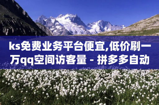 ks免费业务平台便宜,低价刷一万qq空间访客量 - 拼多多自动下单软件下载 - pdd助力真的会被贷款吗