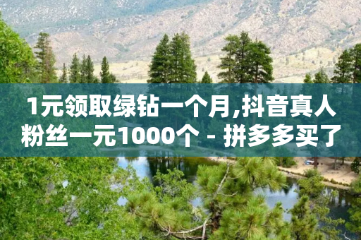 1元领取绿钻一个月,抖音真人粉丝一元1000个 - 拼多多买了200刀全被吞了 - 吾爱网址是什么