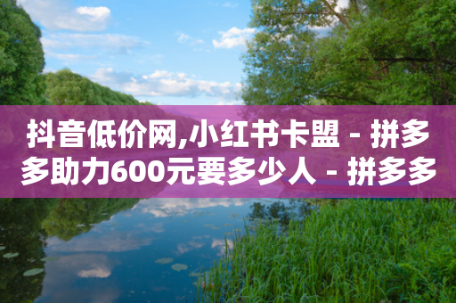 抖音低价网,小红书卡盟 - 拼多多助力600元要多少人 - 拼多多砍一刀最少砍几次