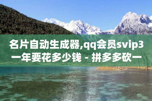 名片自动生成器,qq会员svip3一年要花多少钱 - 拼多多砍一刀助力平台网站 - 拼多多现金大转盘700新用户