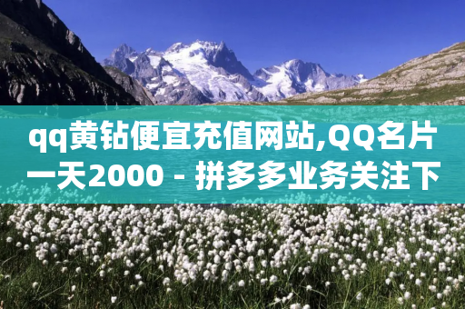 qq黄钻便宜充值网站,QQ名片一天2000 - 拼多多业务关注下单平台 - 拼多多400免费服务电话