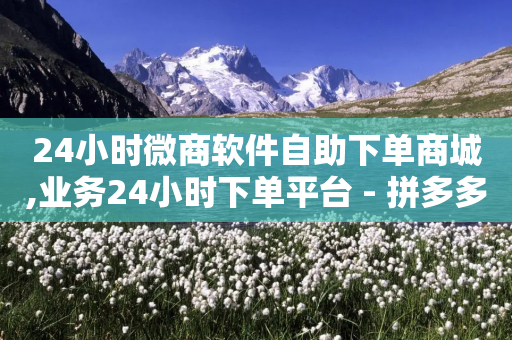 24小时微商软件自助下单商城,业务24小时下单平台 - 拼多多电商 - 24小时网红点赞业务区