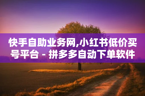 快手自助业务网,小红书低价买号平台 - 拼多多自动下单软件下载 - 拼多多每日红包助手入口