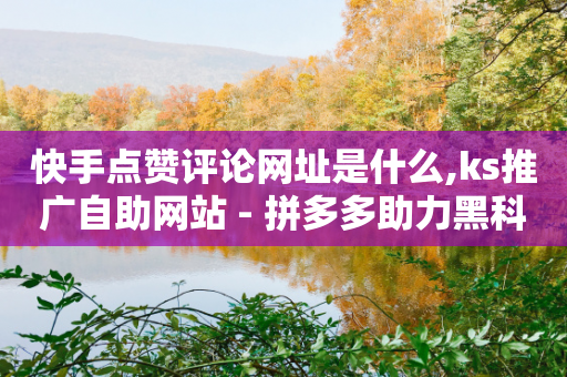 快手点赞评论网址是什么,ks推广自助网站 - 拼多多助力黑科技 - 拼多多最后兑换卡碎片