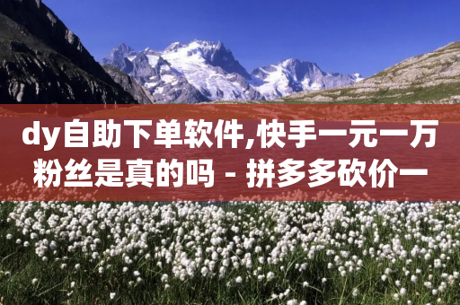 dy自助下单软件,快手一元一万粉丝是真的吗 - 拼多多砍价一元10刀 - 触动精灵