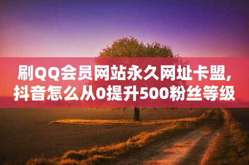 刷QQ会员网站永久网址卡盟,抖音怎么从0提升500粉丝等级 - 拼多多互助平台 - 砍价平台