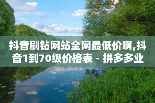 抖音刷钻网站全网最低价啊,抖音1到70级价格表 - 拼多多业务自助平台 - 拼多多助力网站真假