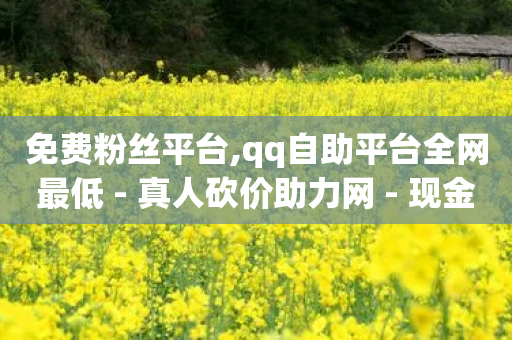 免费粉丝平台,qq自助平台全网最低 - 真人砍价助力网 - 现金大转盘福卡重复