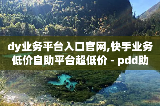 dy业务平台入口官网,快手业务低价自助平台超低价 - pdd助力平台 - 下一个拼多多