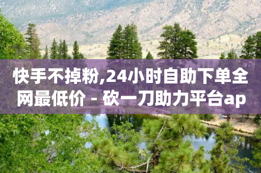 快手不掉粉,24小时自助下单全网最低价 - 砍一刀助力平台app - 想在拼多多开店怎么弄