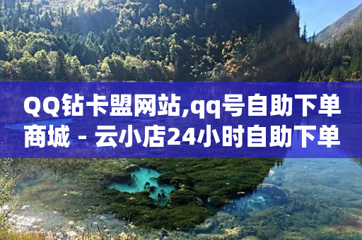 QQ钻卡盟网站,qq号自助下单商城 - 云小店24小时自助下单 - 拼多多700元元宝后面还有吗