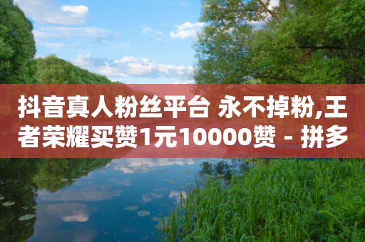 抖音真人粉丝平台 永不掉粉,王者荣耀买赞1元10000赞 - 拼多多自助业务网 - 拼多多助力软件有用吗