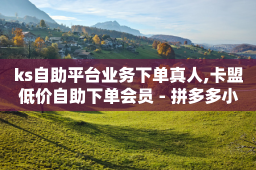 ks自助平台业务下单真人,卡盟低价自助下单会员 - 拼多多小号自助购买平台 - 拼多多砍一刀申请