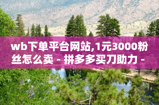 wb下单平台网站,1元3000粉丝怎么卖 - 拼多多买刀助力 - 11个元宝需要多少人助力