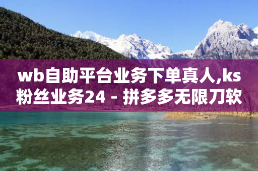 wb自助平台业务下单真人,ks粉丝业务24 - 拼多多无限刀软件 - 骗700元构成犯罪吗