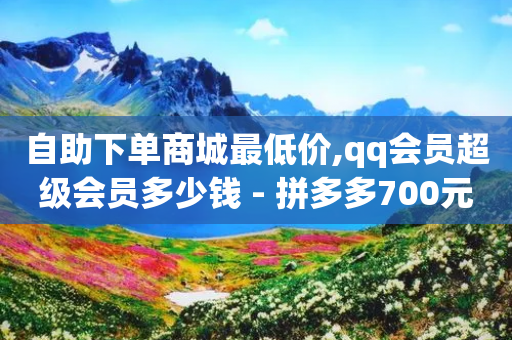 自助下单商城最低价,qq会员超级会员多少钱 - 拼多多700元是诈骗吗 - 美团圈圈助力平台