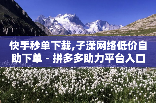 快手秒单下载,子潇网络低价自助下单 - 拼多多助力平台入口 - 12345可以转接拼多多客服吗