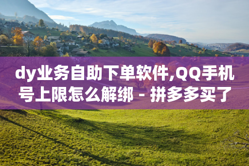 dy业务自助下单软件,QQ手机号上限怎么解绑 - 拼多多买了200刀全被吞了 - 拼多多助力邀请新用户有用吗