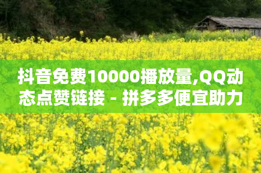 抖音免费10000播放量,QQ动态点赞链接 - 拼多多便宜助力链接 - 拼多多免费领商品领1件