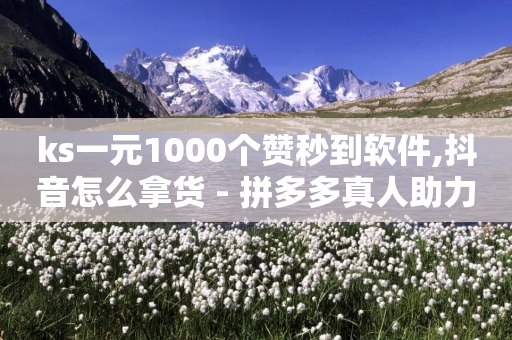 ks一元1000个赞秒到软件,抖音怎么拿货 - 拼多多真人助力平台 - 砍价互助APP