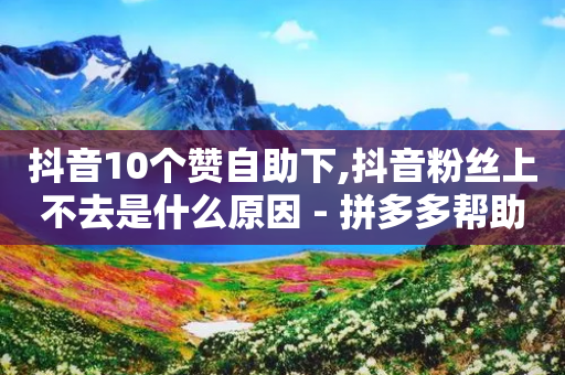 抖音10个赞自助下,抖音粉丝上不去是什么原因 - 拼多多帮助力 - 满汉全席里面有喇蛄吗