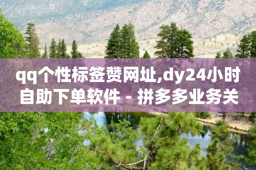 qq个性标签赞网址,dy24小时自助下单软件 - 拼多多业务关注下单平台 - 拼多多垄断问题分析-第1张图片-靖非智能科技传媒