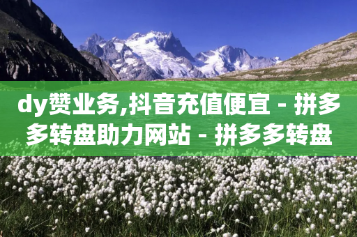 dy赞业务,抖音充值便宜 - 拼多多转盘助力网站 - 拼多多转盘套路完整流程