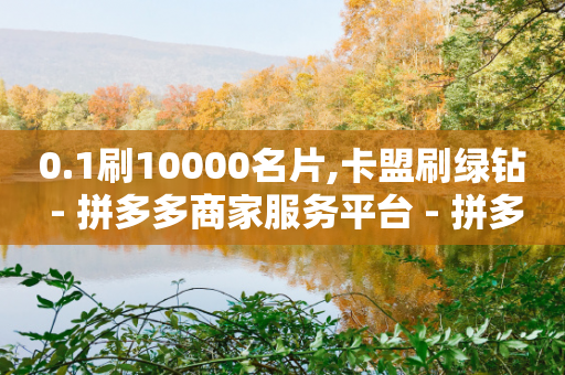 0.1刷10000名片,卡盟刷绿钻 - 拼多多商家服务平台 - 拼多多上唐刀能买吗