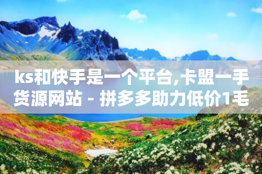 ks和快手是一个平台,卡盟一手货源网站 - 拼多多助力低价1毛钱10个 - 快递回收返佣平台