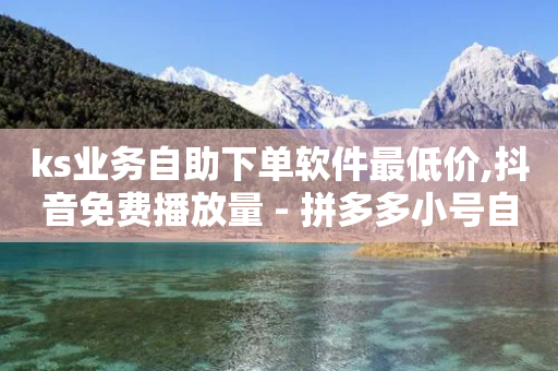 ks业务自助下单软件最低价,抖音免费播放量 - 拼多多小号自助购买平台 - 互助砍价神器