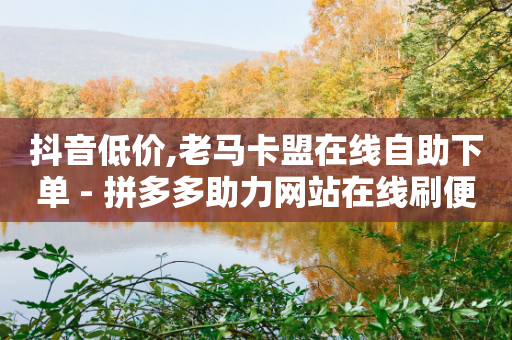 抖音低价,老马卡盟在线自助下单 - 拼多多助力网站在线刷便宜 - 自动下单软件手机版