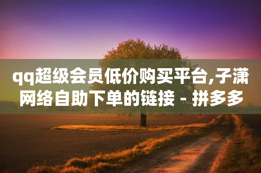 qq超级会员低价购买平台,子潇网络自助下单的链接 - 拼多多砍价免费拿商品 - 100个手机号刷拼多多转盘