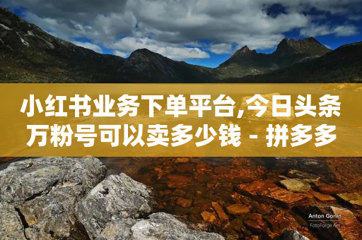 小红书业务下单平台,今日头条万粉号可以卖多少钱 - 拼多多700元助力需要多少人 - 按键精灵提取京东代付链接