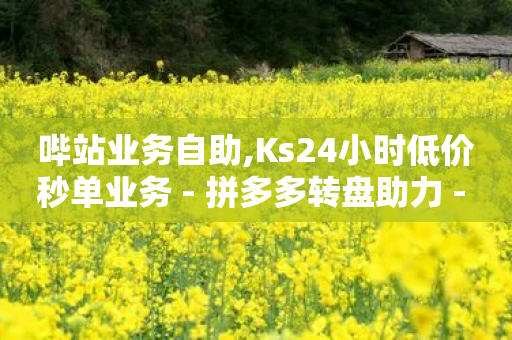 哔站业务自助,Ks24小时低价秒单业务 - 拼多多转盘助力 - 拼多多无限账号下单软件