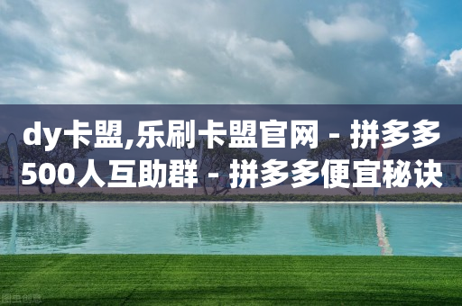 dy卡盟,乐刷卡盟官网 - 拼多多500人互助群 - 拼多多便宜秘诀