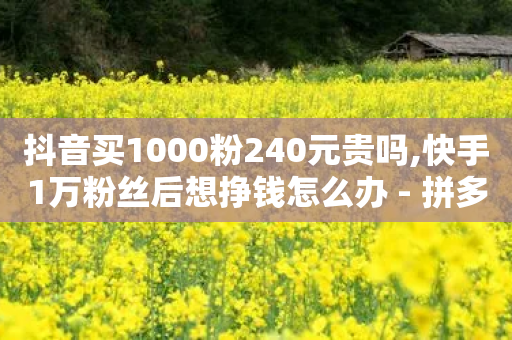 抖音买1000粉240元贵吗,快手1万粉丝后想挣钱怎么办 - 拼多多帮助力 - 卡盟业务下单24小时