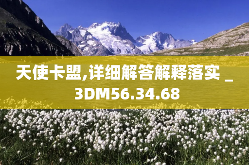 天使卡盟,详细解答解释落实 _ 3DM56.34.68-第1张图片-靖非智能科技传媒