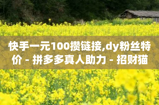 快手一元100攒链接,dy粉丝特价 - 拼多多真人助力 - 招财猫拼多多