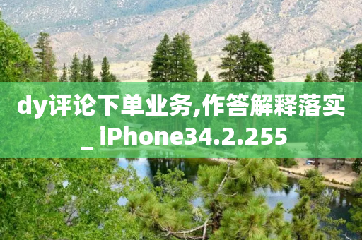 dy评论下单业务,作答解释落实 _ iPhone34.2.255-第1张图片-靖非智能科技传媒