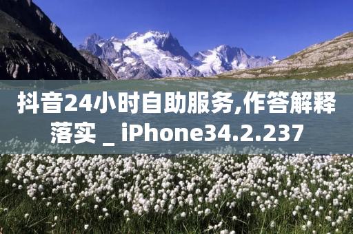 抖音24小时自助服务,作答解释落实 _ iPhone34.2.237