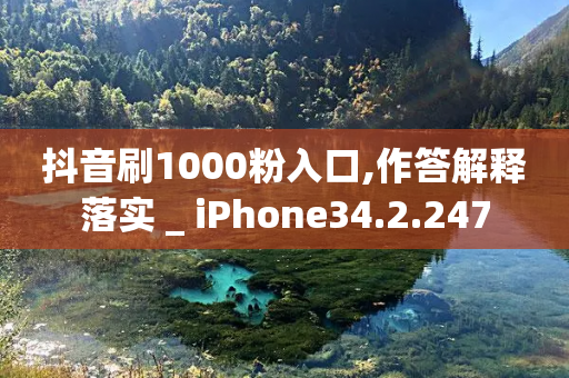 抖音刷1000粉入口,作答解释落实 _ iPhone34.2.247-第1张图片-靖非智能科技传媒