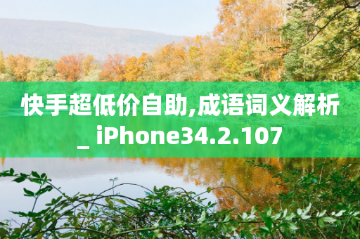 快手超低价自助,成语词义解析_ iPhone34.2.107-第1张图片-靖非智能科技传媒