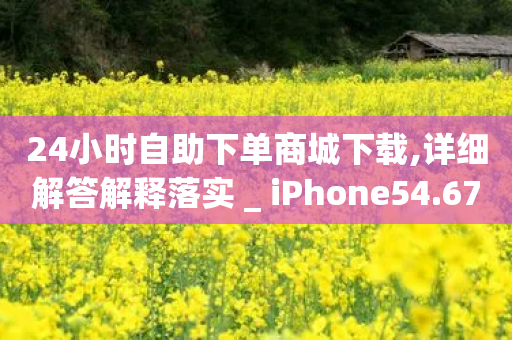 24小时自助下单商城下载,详细解答解释落实 _ iPhone54.67.131