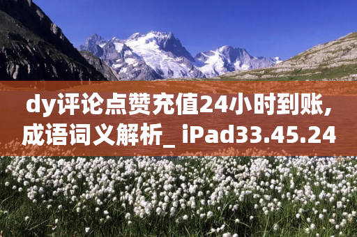 dy评论点赞充值24小时到账,成语词义解析_ iPad33.45.242-第1张图片-靖非智能科技传媒