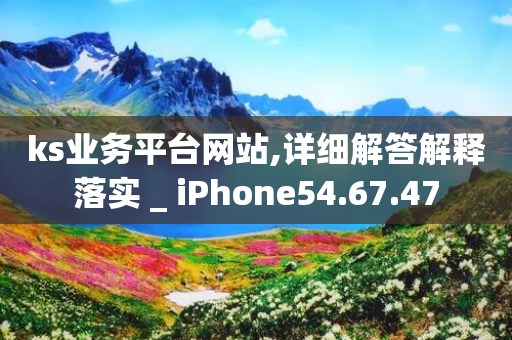 ks业务平台网站,详细解答解释落实 _ iPhone54.67.47