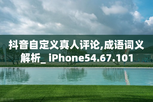 抖音自定义真人评论,成语词义解析_ iPhone54.67.101-第1张图片-靖非智能科技传媒