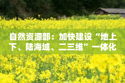 自然资源部：加快建设“地上下、陆海域、二三维”一体化的实景三维中国-第1张图片-靖非智能科技传媒